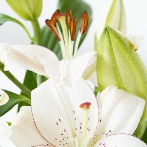 Florist in Burton on Trent - The Blossom Branch Florist