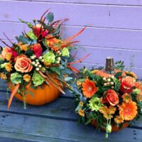 pumpkin