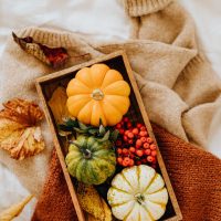 pumpkin3