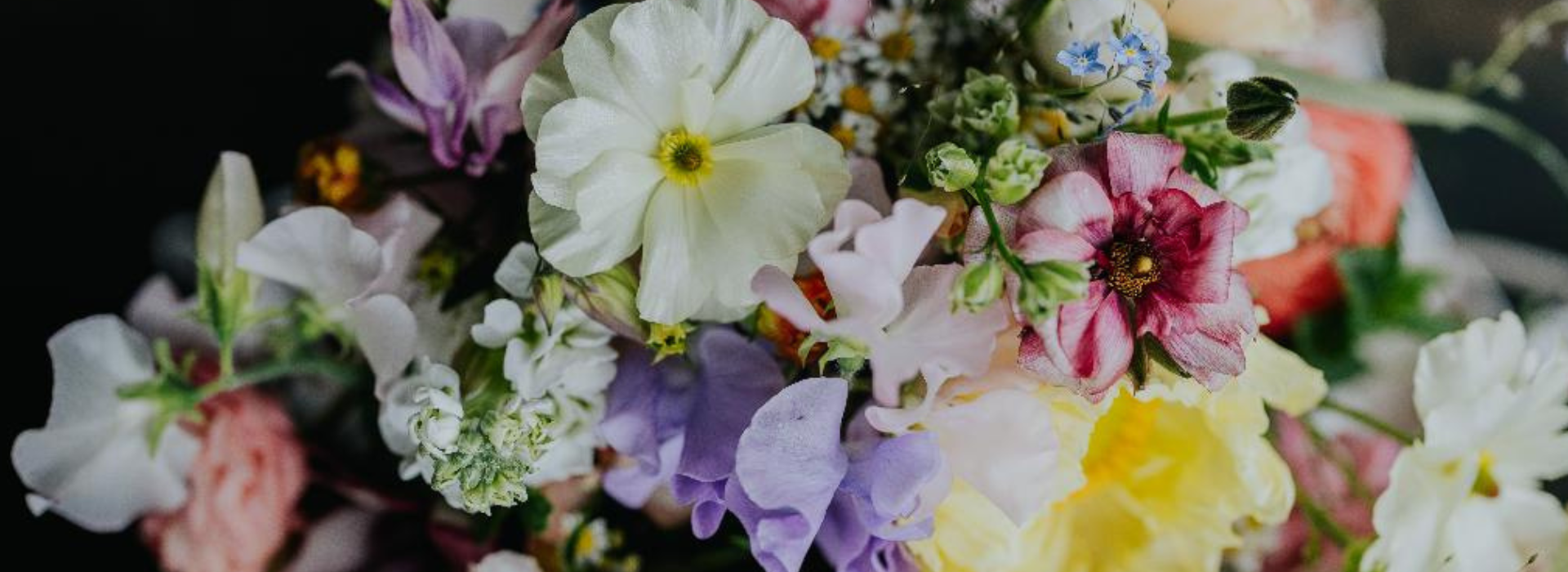 slider image web template wedding 2